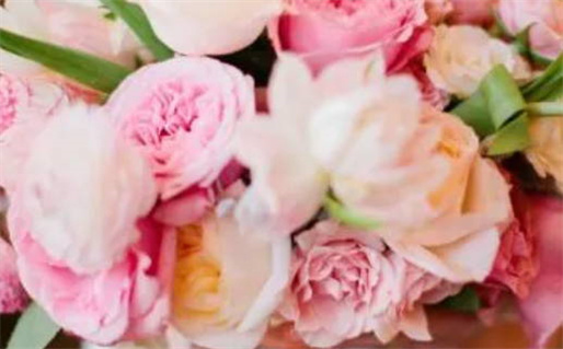 2025年02月24日搬家日子如何 宜搬家入宅吉日查询