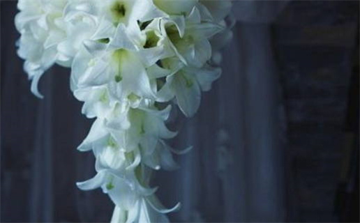 2025年02月08日结婚吉日查询 今日办喜事好不好