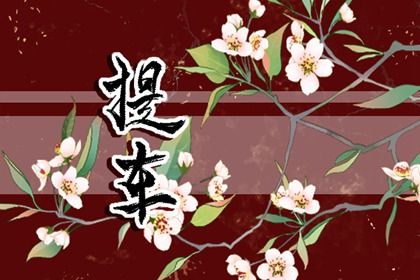 2025年03月13日提车吉日查询 今日提车买车好吗