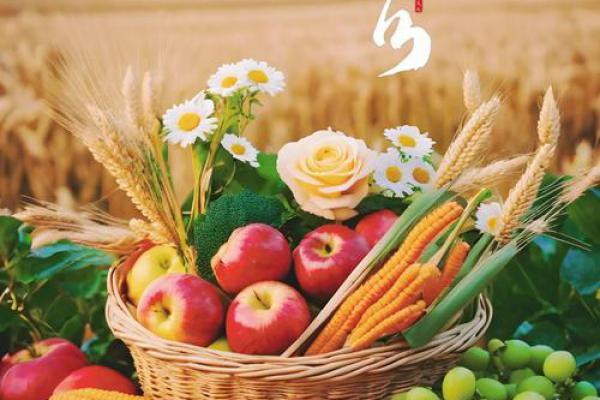 秋分_秋天的平衡