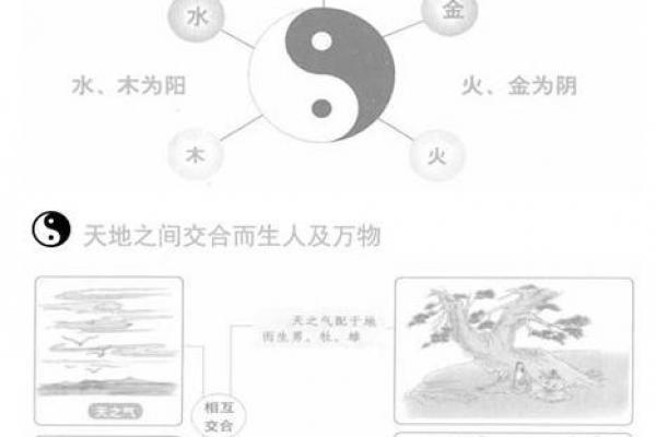 八字6阳2阴男命 阴阳平衡的八字男命特点 八字6阳2阴男命 阴阳平衡的八字男命特点