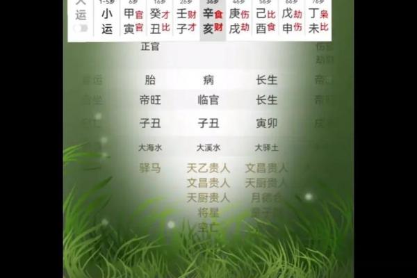 甲申庚午八字命理解析大全 甲申庚午八字命理全攻略 甲申庚午八字命理解析大全 甲申庚午八字命理全攻略